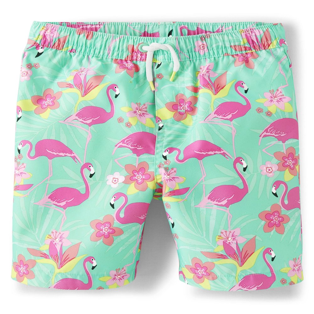 Gymboree,Boys,and Toddler Swim Trunks,Flamingos,7