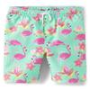 Gymboree,Boys,and Toddler Swim Trunks,Flamingos,7 view 1