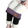 Fleece Lined Leggings for Women's Winter Warm Tights Pants Plush Sherpa Long Trousers High Waist Yoga Pants view 1