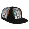 Headphone Glasses Lion and Ireland Flag Flat Bill Brim Baseball Cap Cool Hip Hop Trucker Hat Men Women Adjustable Baseball Caps view 1