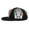 Headphone Glasses Lion and Ireland Flag Flat Bill Brim Baseball Cap Cool Hip Hop Trucker Hat Men Women Adjustable Baseball Caps view 3