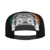 Headphone Glasses Lion and Ireland Flag Flat Bill Brim Baseball Cap Cool Hip Hop Trucker Hat Men Women Adjustable Baseball Caps view 4