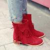 ZBYY Women's Tassel Bootie Fashion Winter Fringe Low Heel Ankle Boots Pointy Toe Western Cowboy Booties view 2