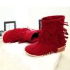 ZBYY Women's Tassel Bootie Fashion Winter Fringe Low Heel Ankle Boots Pointy Toe Western Cowboy Booties view 3