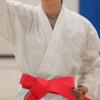 BESPORTBLE Karate Belt Colors Cotton Martial Arts Waist Guard Taekwondo Belt for Men view 3