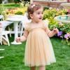 AGQT Baby Girls Tulle Tutu Dress Sleeveless Toddler Butterfly Print Back Tutu Dresses Birthday Party Gowns Wedding Layered Lace Holiday Mini Dress Apricotle Size 12-18 Months view 2
