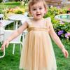 AGQT Baby Girls Tulle Tutu Dress Sleeveless Toddler Butterfly Print Back Tutu Dresses Birthday Party Gowns Wedding Layered Lace Holiday Mini Dress Apricotle Size 12-18 Months view 3