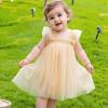 AGQT Baby Girls Tulle Tutu Dress Sleeveless Toddler Butterfly Print Back Tutu Dresses Birthday Party Gowns Wedding Layered Lace Holiday Mini Dress Apricotle Size 12-18 Months view 4