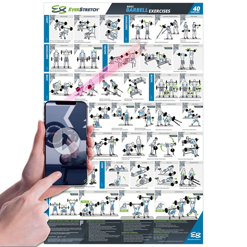 EverStretch Barbell Workout Poster for Home Gym - With Video Instructions - Large 23" x 35" | Laminated Exercise Chart