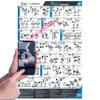 EverStretch Barbell Workout Poster for Home Gym - With Video Instructions - Large 23" x 35" | Laminated Exercise Chart view 1