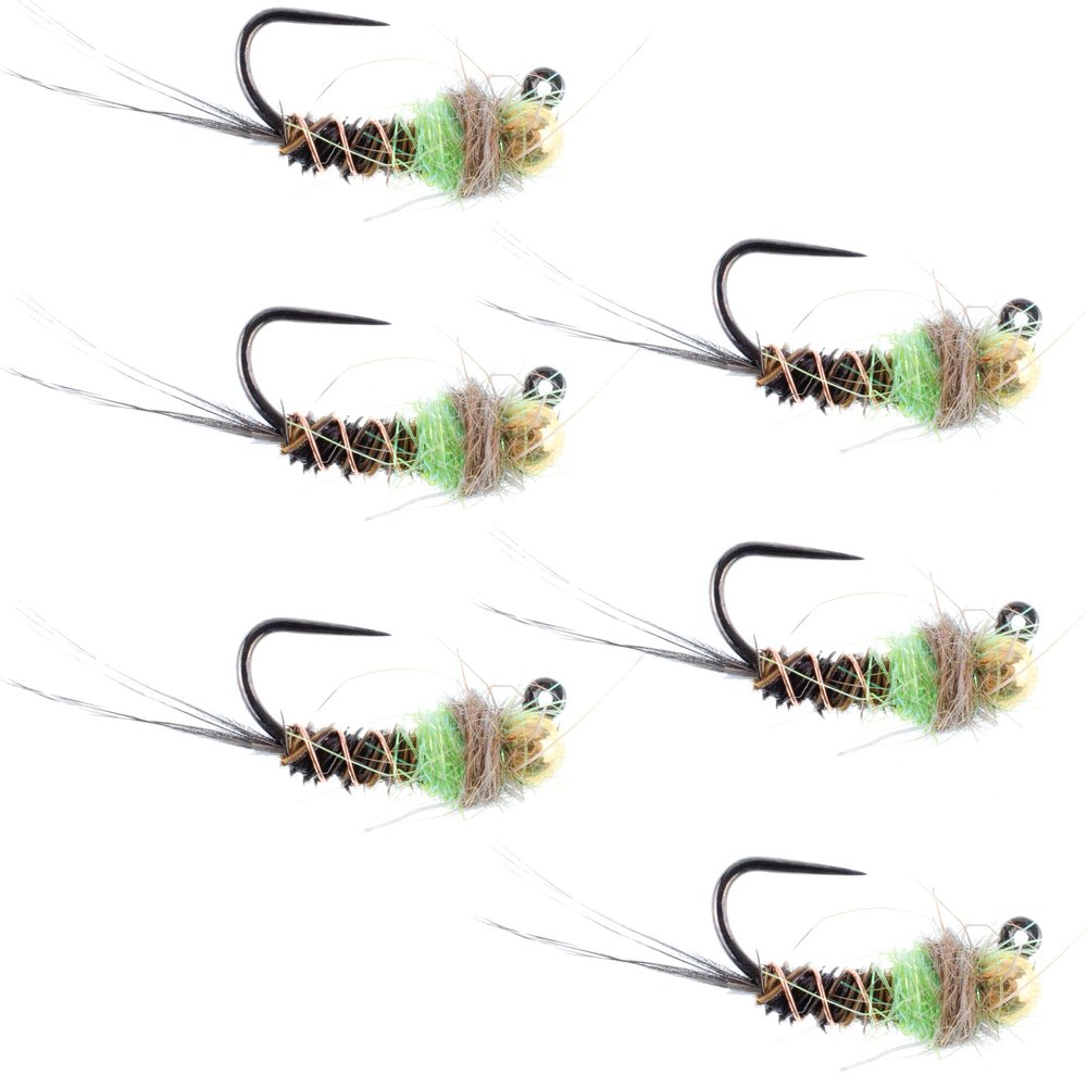 The Fly Fishing Place Tungsten Bead Hot Spot Pheasant Tail Tactical Jig Chartreuse Czech Nymph Euro Nymphing Fly - 6 Flies Size 12