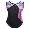 Fldy Gymnastic Leotards for Girls Kids Sparkly Diamond Tank Top Leotard Ballet Dance One Piece Outfit Colorful Heart 8 view 1