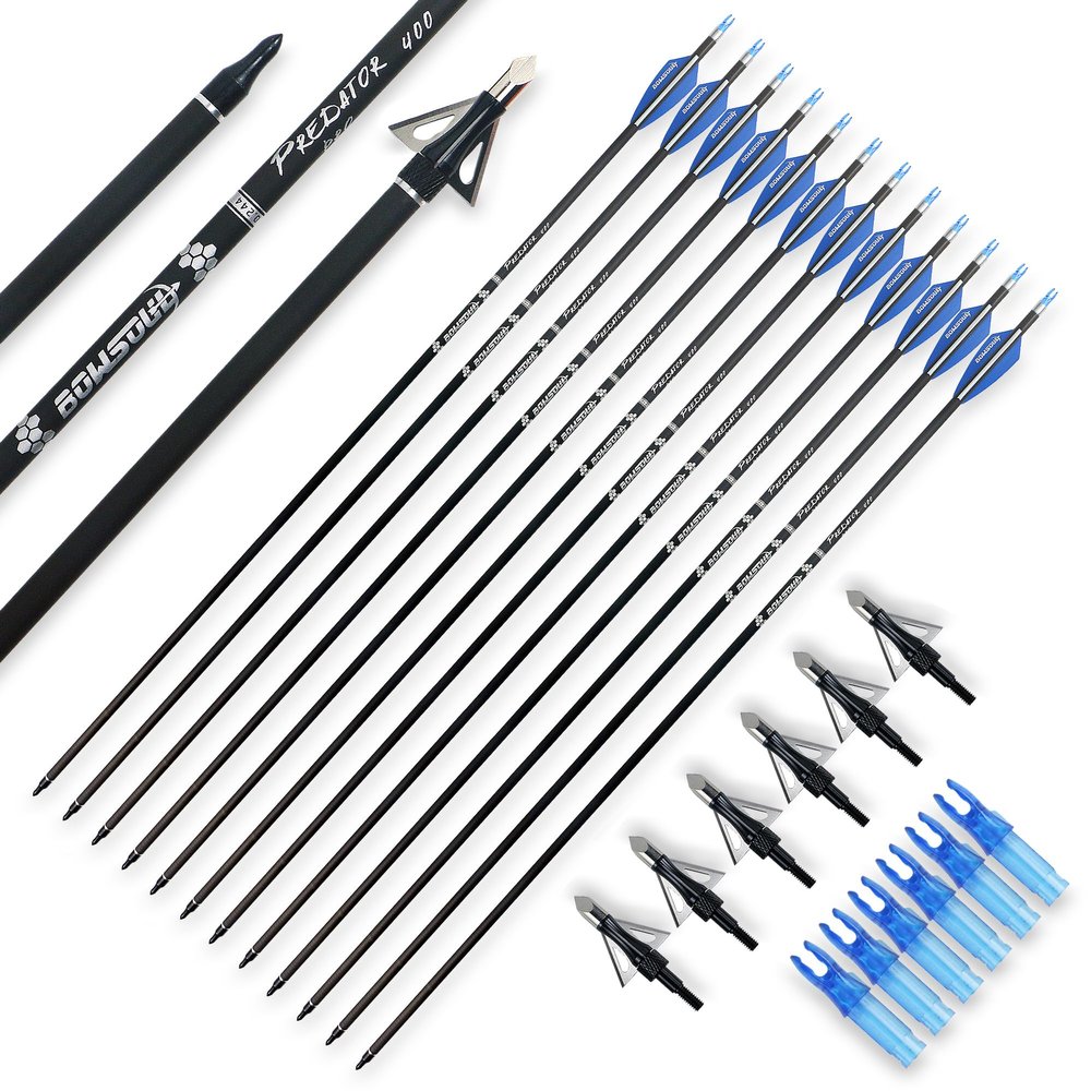BOWSOUL 30inch Hunting Carbon Archery Arrows with 2.75 High Hardness Vanes Spine 400 for Compound Bow and Recurve Bow (Blue White&Broadheads)