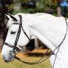 Equinavia Valkyrie Wide Noseband Hunter Bridle with Reins - Chocolate Brown - Horse view 3