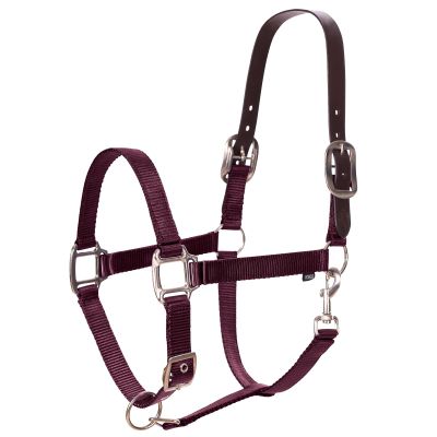 Equinavia Loki Adjustable Breakaway Horse Halter - Wine Red - Horse