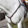 Equinavia Valkyrie Elastic Breastplate - Chocolate Brown - Cob view 3