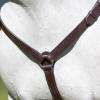 Equinavia Valkyrie Elastic Breastplate - Chocolate Brown - Cob view 4