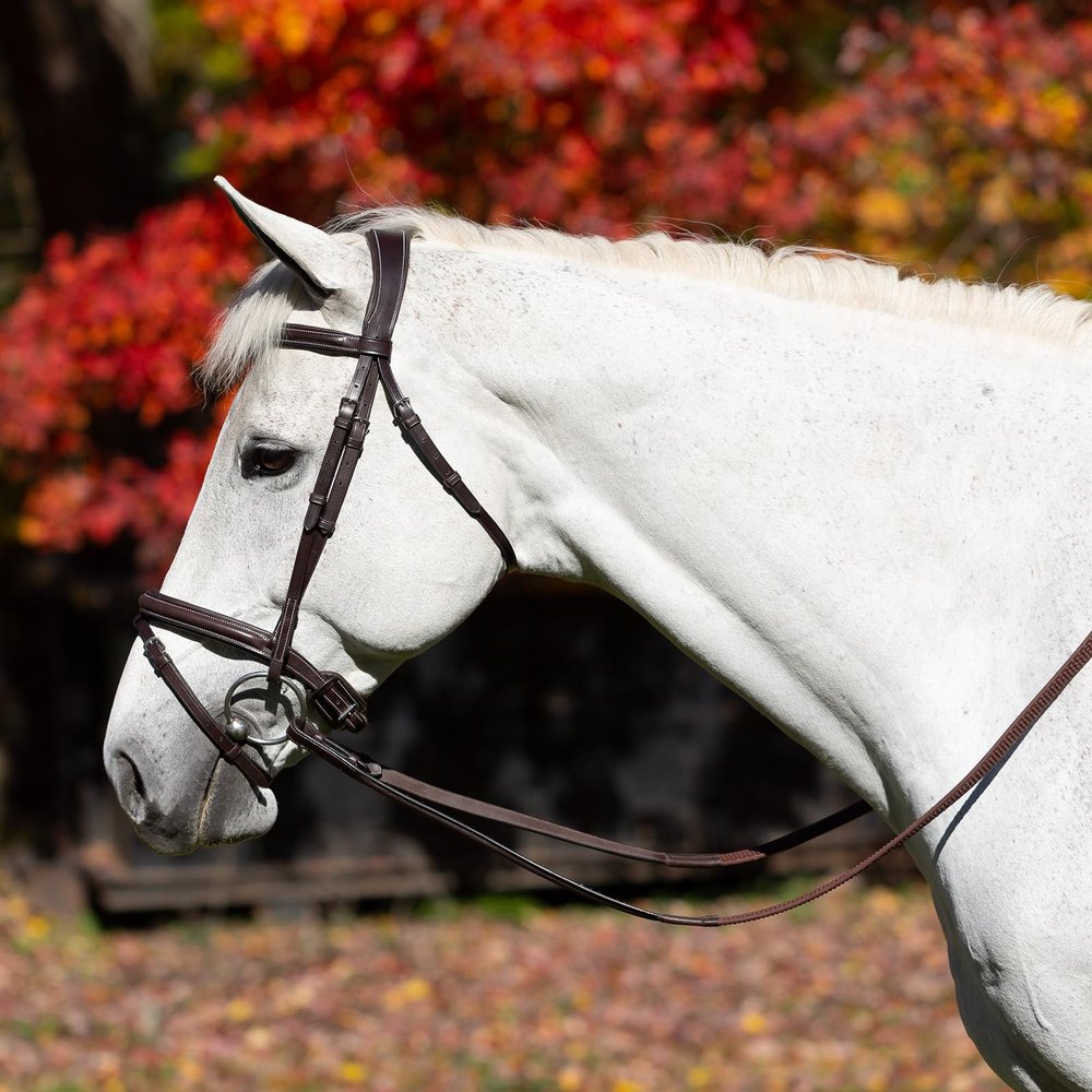 Equinavia Valkyrie Flash Bridle & Rubber Reins - Chocolate Brown - Horse