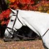 Equinavia Valkyrie Flash Bridle & Rubber Reins - Chocolate Brown - Cob view 1