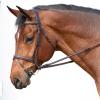 Equinavia Valkyrie Flash Bridle & Rubber Reins - Chocolate Brown - Warmblood view 3