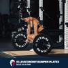 Titan Fitness 15 LB Pair Economy Series Black Olympic Bumper Plates, Durable Rubber Exterior with Steel Core, Weightlifting and Strength Training Weight Plate view 2