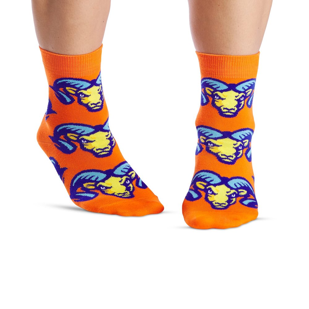 JNRB Women's Cotton Colorful Crew Dress Novelty Funny Cute Animal Printed Socks, S-M (Bighorn sheep)