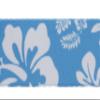Country Brook Design - Blue Hawaiian Polyester Webbing (1 Inch, 20 Yards) view 4