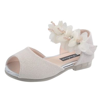 Girls Rhinestone Flower Shoes Low Heel Flower Wedding Party Dress Pump Shoes Princess Mary Jane Shoes for Toddler Girls (Beige, 2 Years Toddler)
