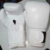 Boxing Gloves 1 Pair (12oz) view 2