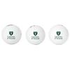 Desert Cactus University of Vermont Golf Balls 3 Pack  UVM Catamounts Full Color Three  Officially Licensed Sport Team Accessory (Design B) view 1
