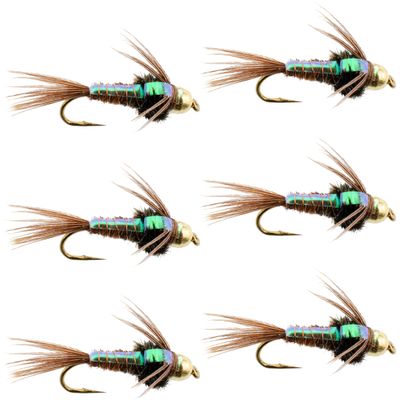 The Fly Fishing Place Tungsten Bead Head Nymph Fly Fishing Flies - Flashback Pheasant Tail Trout Fly - Nymph Wet Fly - 6 Flies Hook Size 12