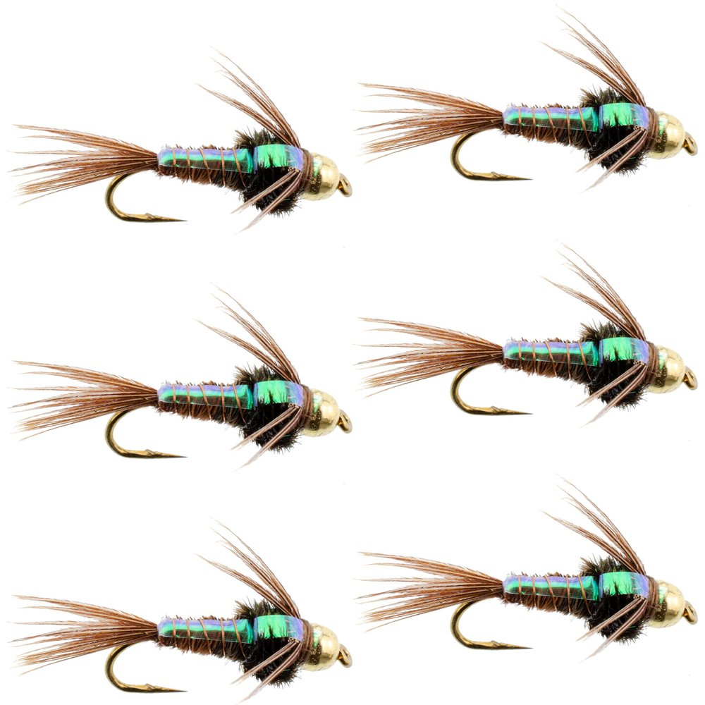 The Fly Fishing Place Tungsten Bead Head Nymph Fly Fishing Flies - Flashback Pheasant Tail Trout Fly - Nymph Wet Fly - 6 Flies Hook Size 12