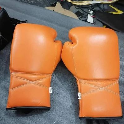 10 Pairs of Boxing Gloves for Training-- Unisex, Professional Boxing Gloves, lace up (12 oz)