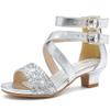 Dufannie Silver Girls High Heels Kids Dress Shoes Princess Heels for Kid Sandals Little Girls Sparkle Shoes Pumps Size 13 Pageant Wedding Church Halloween Dance Party Tween Sandal(3405Silver 13) view 1