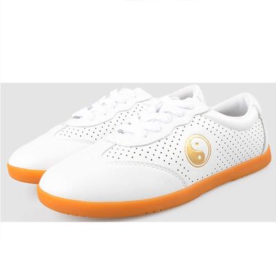 DAFLIN Taekwondo Shoes, Breathable Martial Arts Sneakers, Sport Boxing Kung Fu Taichi Lightweight Shoes for Adults and Children (Color : White, Size : 7 US)