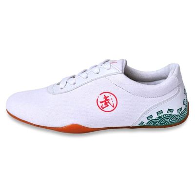 DAFLIN Taekwondo Martial Arts Sneaker Kung Fu Karate Boxing Sports Gym Trainning Shoes Lightweight Breathable Shoes for Children Teenagers Adults (Color : White, Size : 39 EU)