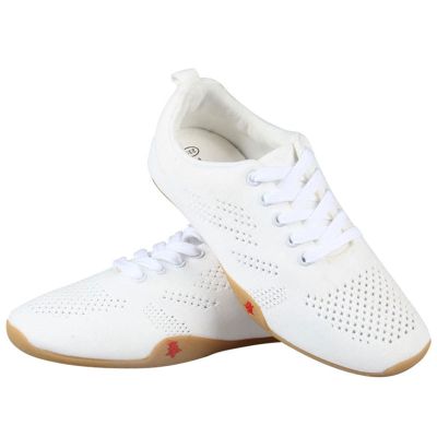 DAFLIN Taekwondo Shoes Comfortable Non-Slip Taekwondo Sport Shoes for Adults (Color : White, Size : 10.5 US)