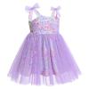 1st Birthday Girl Dress Outfit Baby Girl Sequin Dress Sleeveless Rainbow Stars Print Tulle Dress Spaghetti Straps Princess Tutu Sundress Toddler Cake Smash Photoshoot Dress Purple Star 2-3 Years view 3