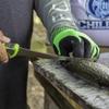 Smith's 51388 Mr. Crappie 8 Curved Super Flex Fillet Knife - Stainless Steel Blade - Non-Slip Soft Grip Handle - Sheath - Curved Fillet Knife - Deboning & Game Processing - Fishing Knife,Green view 4