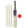 Junior Cricket Bat 4 Stumps Bail Tennis Ball Bag Gift Set Wooden Size 6 by CE (Junior 6) view 3