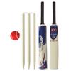 Junior Cricket Bat 4 Stumps Bail Tennis Ball Bag Gift Set Wooden Size 6 by CE (Junior 6) view 4