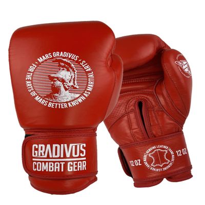 SPARPRO Series Leather Boxing Gloves -Sacred Animals- (Mars Red, 16oz)