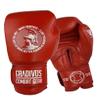 SPARPRO Series Leather Boxing Gloves -Sacred Animals- (Mars Red, 16oz) view 1