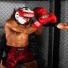 SPARPRO Series Leather Boxing Gloves -Sacred Animals- (Mars Red, 16oz) view 2
