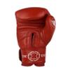 SPARPRO Series Leather Boxing Gloves -Sacred Animals- (Mars Red, 16oz) view 3