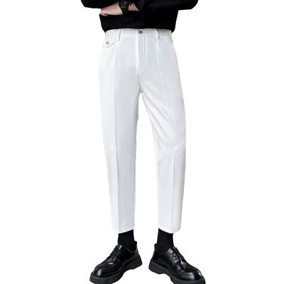 DGHM-JLMY Men's Summer Cropped Casual Trousers High Waist Fold Pleated Suit Pants Work Office Business Pant with Pockets (White,Small)