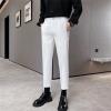 DGHM-JLMY Men's Summer Cropped Casual Trousers High Waist Fold Pleated Suit Pants Work Office Business Pant with Pockets (White,Small) view 2