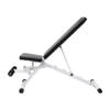 GOLINPEILO Multi-Purpose Fitness Workout Utility Bench, Health & Fitness Weight Bench for Heavy Duty Workouts, Exercise, Strength Training, Lifting and Home Gyms (Style K) view 2