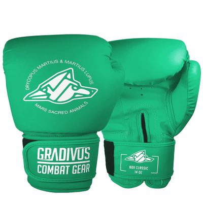 Classic Series Boxing Gloves (Turquoise, 16oz)