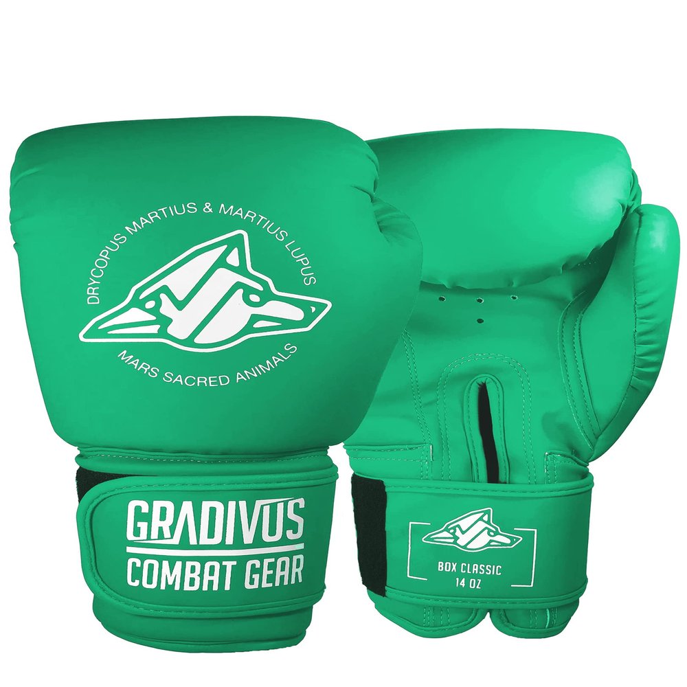 Classic Series Boxing Gloves (Turquoise, 12oz)